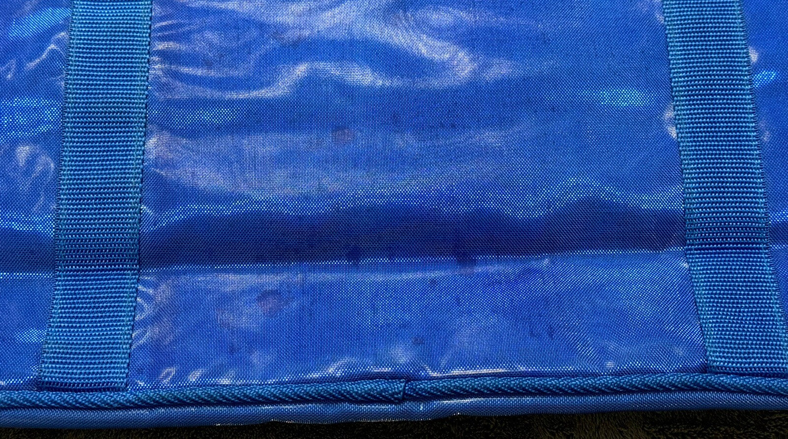 Vintage Gators iridescent Blue Tote Bag with Pockets & Logo