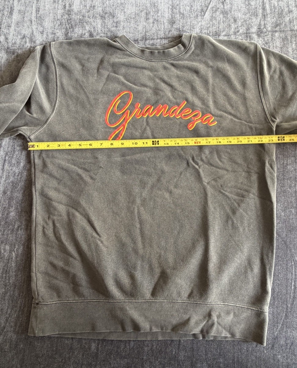 Grandeza Men’s Size Large (L) Gray RARE Crewneck Cotton Sweatshirt NWOT