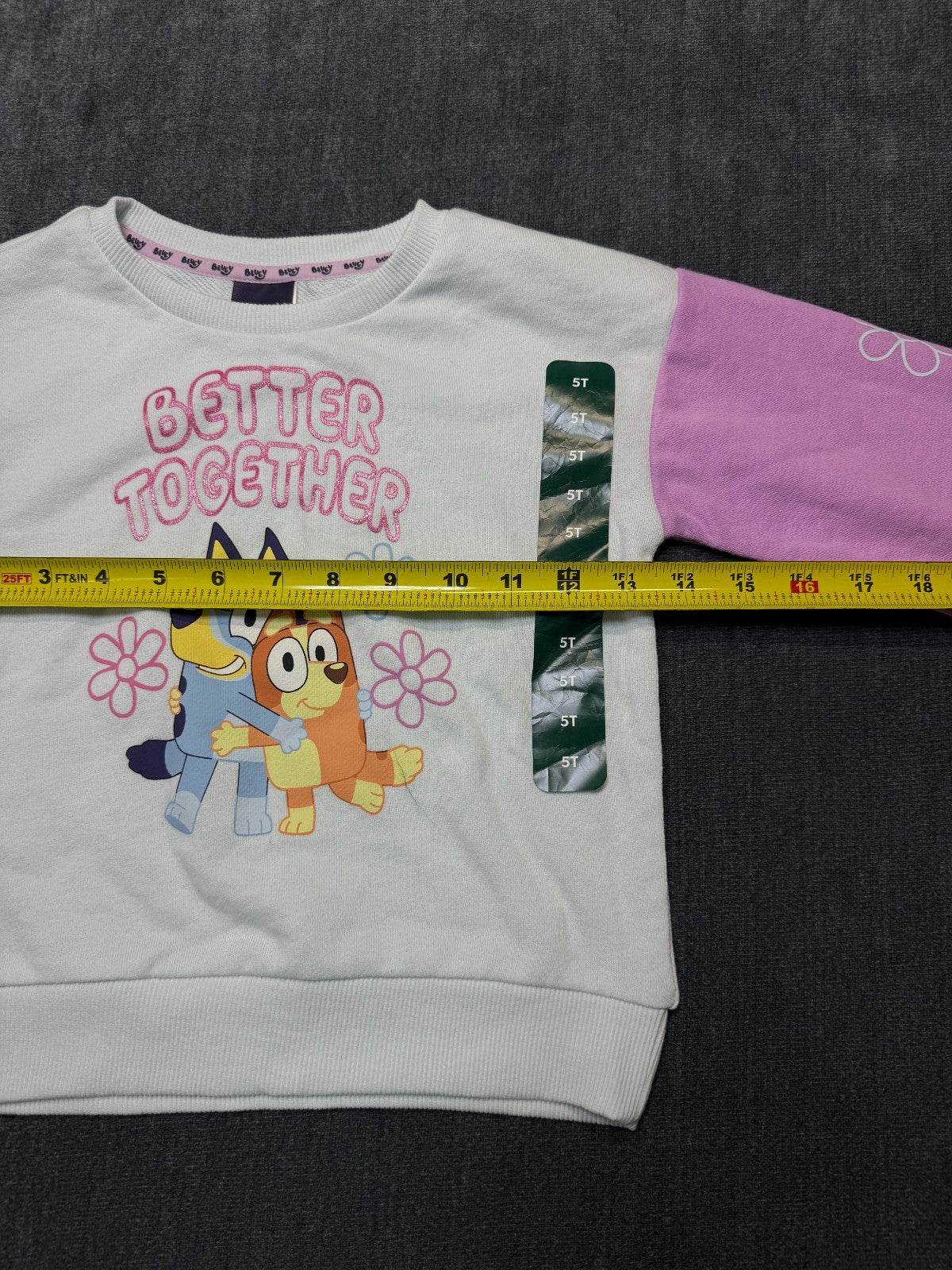 NWT Disney Bluey Better Together Sweatshirt Girls 5T Multicolor Crew Long Sleeve