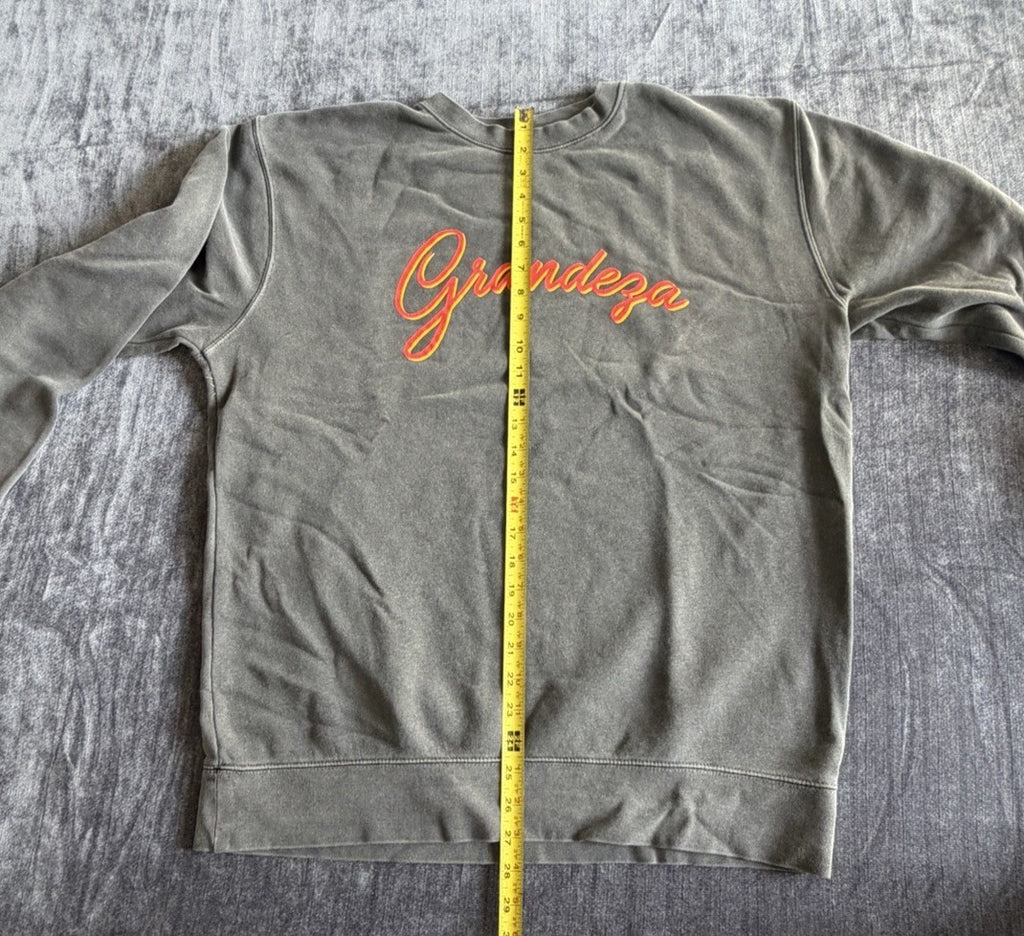 Grandeza Men’s Size Large (L) Gray RARE Crewneck Cotton Sweatshirt NWOT