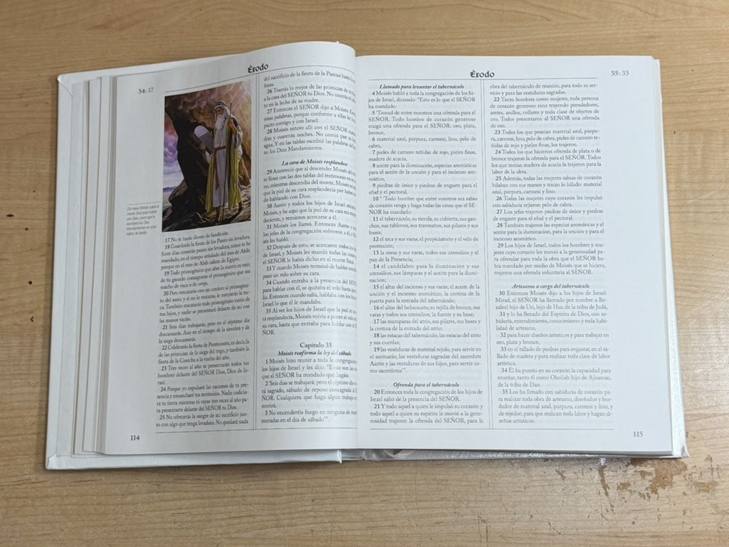 Santa Biblia The Holy Bible Spanish (2007) RVR Edición Especial WHITE/GOLD NEW