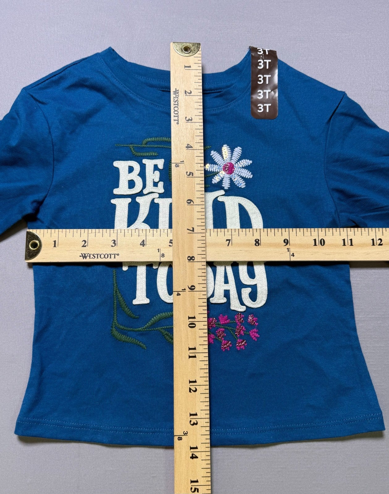 NWT Member's Mark Long Sleeve Tee Girls 3T Blue Floral Embroidered Casual Wear