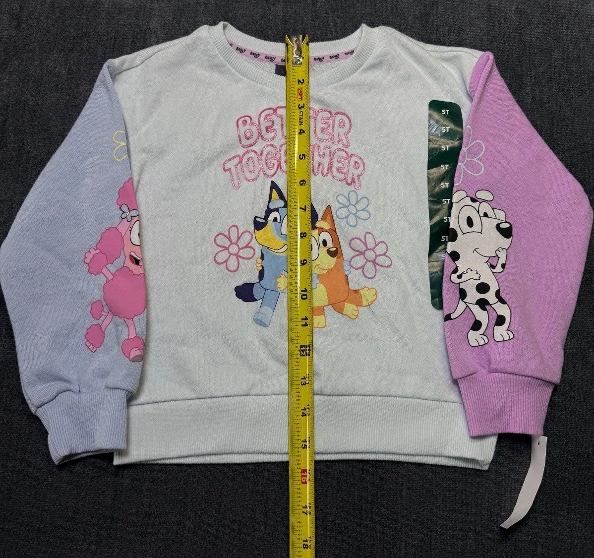 NWT Disney Bluey Better Together Sweatshirt Girls 5T Multicolor Crew Long Sleeve