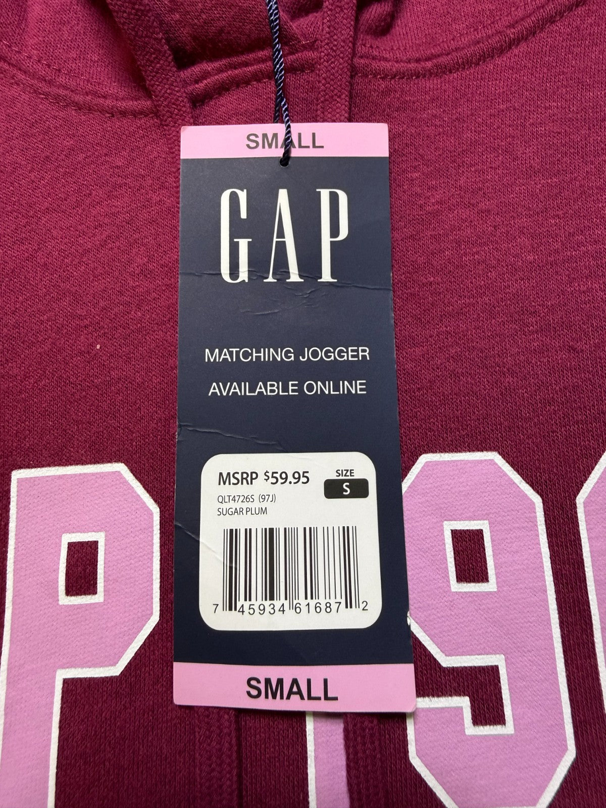 NWT Gap Hooded Sweatshirt Women's Small Purple Long Sleeve Drawstring Gorpcore